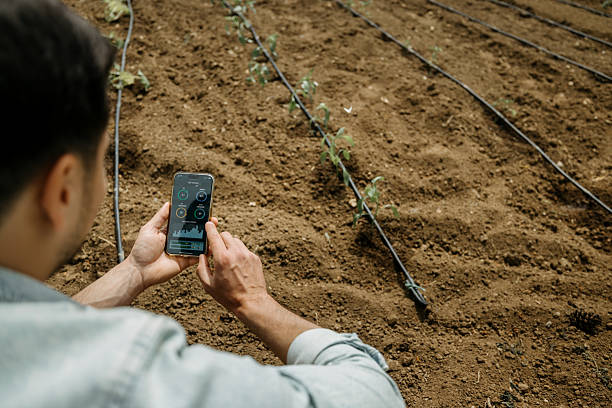 Farmer hand using smart farming application on smartphone with icons in organic vegetable farm
