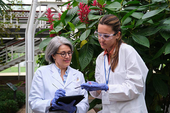 Two agricultural engineers examining plants and taking notes on a digital tablet in a greenhouse
