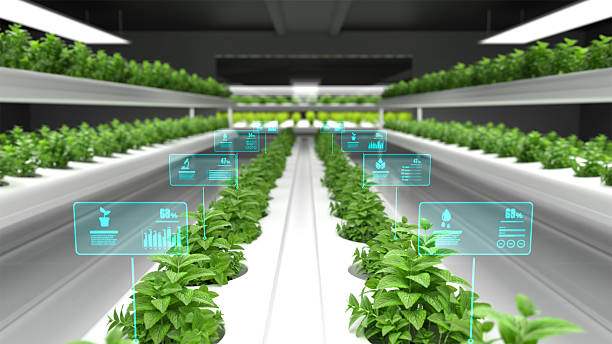 Organic hydroponic vegetable farm with digital data display. 3D illustration