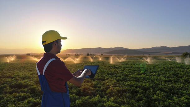 Young Farmer using a digital tablet